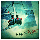 neenahpapertyger